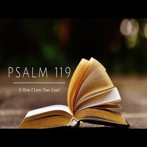 Bible Study: Psalm 119 Part 6 | Pastor M.L. Whitlock