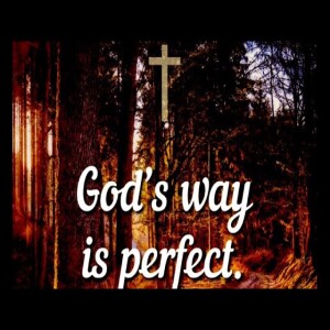 The Lord’s Way Is Perfect