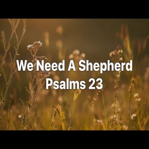 We Need A Shepherd - Pastor M.L. Whitlock