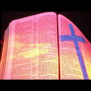 Bible Study: Next Level - Progression - Pastor Michael Whitlock