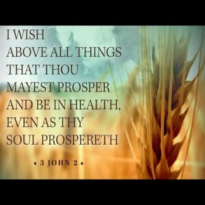 The Prosperous Soul 3 John 1:3