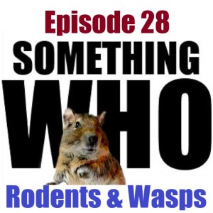 Episode 28: Rodents & Wasps