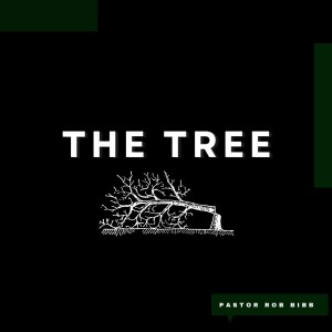 The Tree | Pastor Rob Bibb