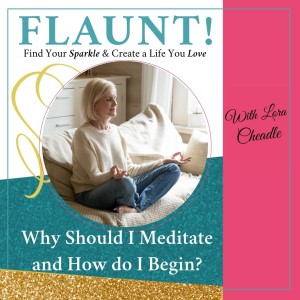 Why Should I Meditate and How do I Begin?