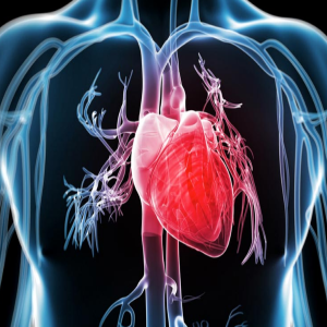 Glutathione Benefits for the No.1 Killer - Heart Disease