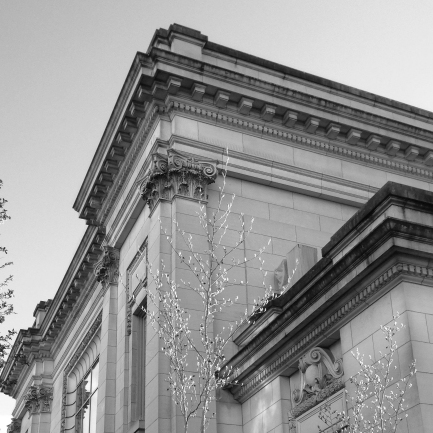 Dedication: A Centennial Story