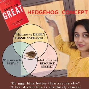 Ep58: The Hedgehog Concept - from Good to Great Book (solo)