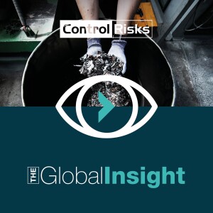 The Global Insight - Critical minerals, slow business: making sense of the down-cycle