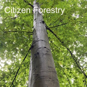 Citizen Forestry