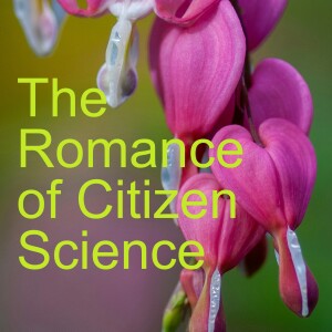 The Romance of Citizen Science