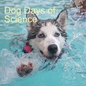 Dog Days of Science