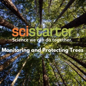 Monitoring and Protecting Trees (plus citizen science news!) VIDEO