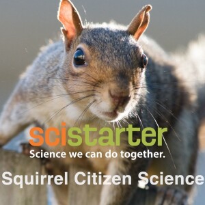 Squirrely Citizen Science