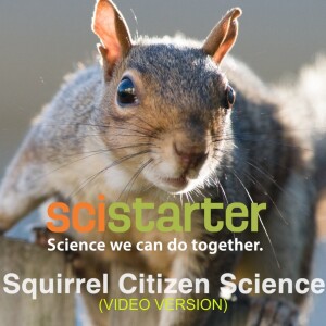 Squirrely Citizen Science (VIDEO)