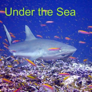 Under the Sea