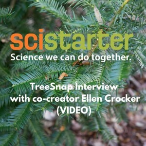 TreeSnap Interview With Co-Creator Ellen Crocker (VIDEO)