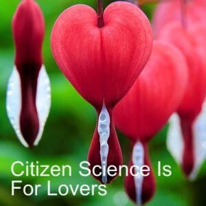 Citizen Science Is For Lovers!