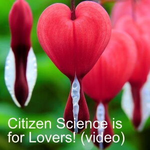Citizen Science is for Lovers (Video)
