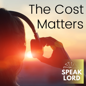 The Cost Matters