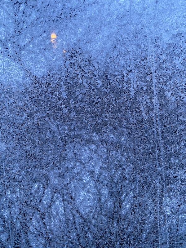 #87: Spring!, On a warm day in February
