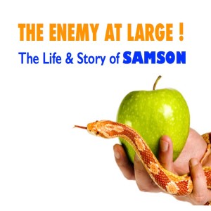 THE ENEMY AT LARGE
