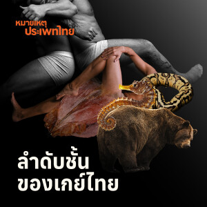 ปลาหมึกถวบน และการตอบโต้ ต่อรอง ลำดับช่วงชั้นเรือนร่างเกย์ | หมายเหตุประเพทไทย