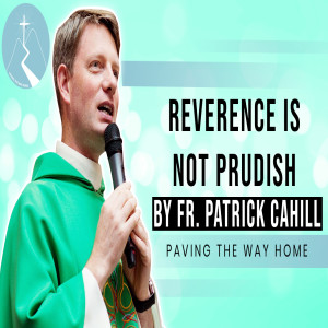 Reverence Is Not Prudish - Reflection By Fr. Patrick Cahill
