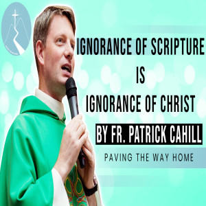 Ignorance Of Scripture Is Ignorance Of Christ - Reflection By Fr. Patrick Cahill