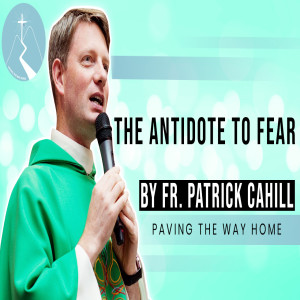 The Antidote To Fear - Reflection By Fr. Patrick Cahill