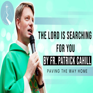 The Lord Is Searching For You - Reflection By Fr. Patrick Cahill