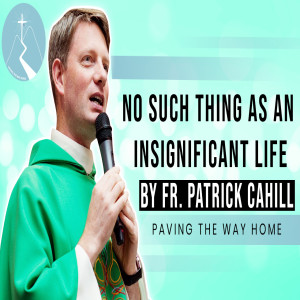 No Such Thing As An Insignificant Life - Reflection By Fr. Patrick Cahill