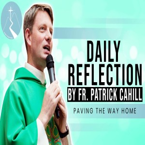 Where Is The Fruit Of Your Life? - Daily Reflection By Fr. Patrick Cahill