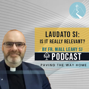 Laudato Si (Papal Encyclical on the Environment): Is It Really Relevant? - Paving The Way Home Podcast with Guest Fr. Niall Leahy SJ