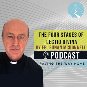 The Four Stages of Lectio Divina - By Fr. Eunan McDonnell SDB (Short Clip from Full Interview)