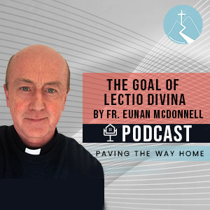 The Goal Of Lectio Divina - By Fr. Eunan McDonnell SDB (Short Clip from Full Interview)
