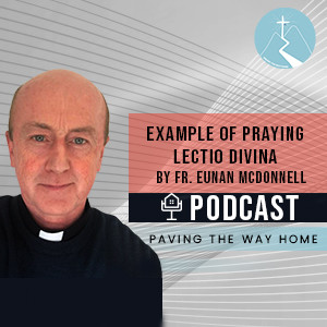 Example of Lectio Divina Connected to Real Life -  By Fr. Eunan McDonnell SDB (Short Clip from Full Interview)