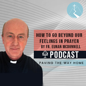 How To Go Beyond Our Feelings In Prayer - By Fr. Eunan McDonnell SDB (Short Clip from Full Interview)