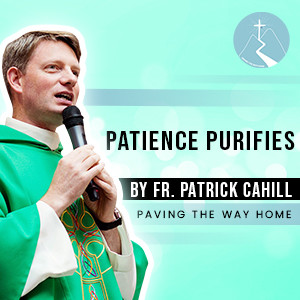 Patience Purifies - By Fr. Patrick Cahill