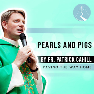 Pearls and Pigs - By Fr. Patrick Cahill