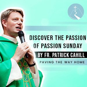 Discover the Passion of Passion Sunday - By Fr. Patrick Cahill