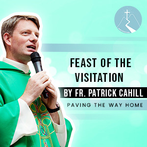 Feast of the Visitation - By Fr. Patrick Cahill (Parish Mission, Letterkenny, Co. Donegal, Ireland)