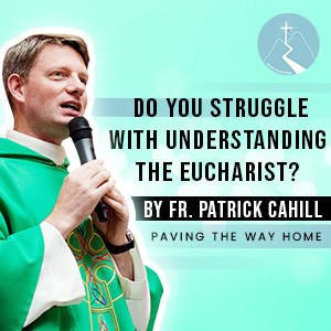 Do You Struggle With Understanding the Eucharist? - By Fr. Patrick Cahill