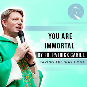 You Are Immortal - By Fr. Patrick Cahill