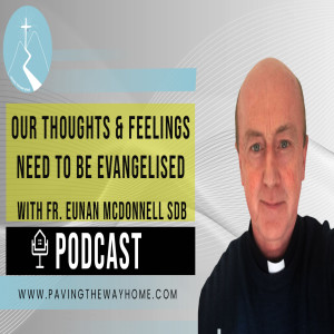 Our Thoughts & Feelings Need To Be Evangelised - By Fr. Eunan McDonnell SDB (Short Clip From Full Interview)