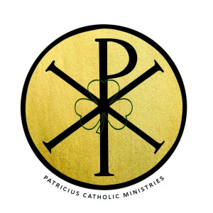 Why Bother Going To Confession? - By Fr. Bill O'Shaughnessy of Patricius Ministries