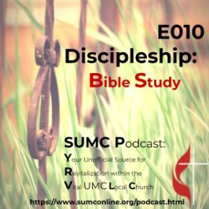 010 Discipleship Plan - Bible Study