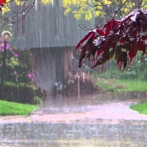 Música de Fondo - Lluvia