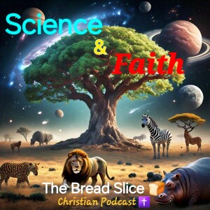 Ep 31. Science & Faith with Tom Plaman