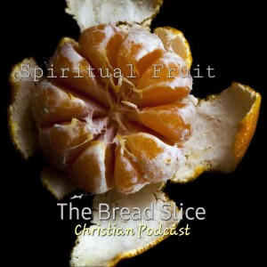 Episode 20. Spiritual Fruit