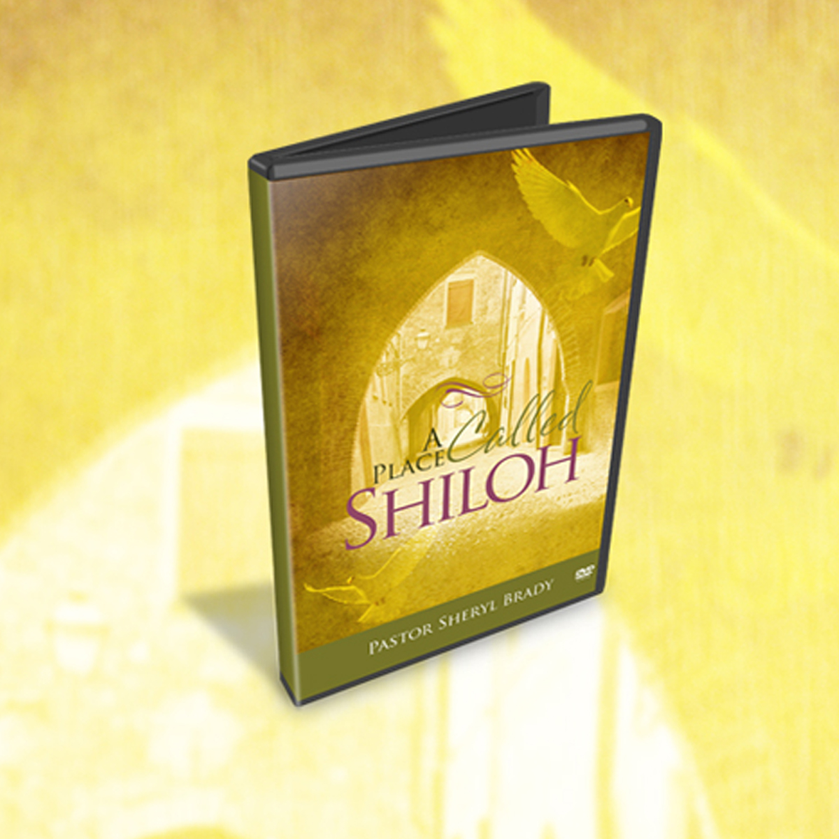 A Place Called Shiloh